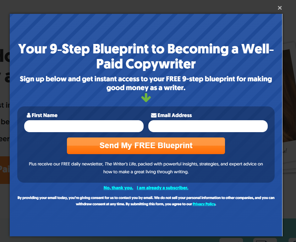 Sample of a timed Website Popup Containing all the features of a pop up