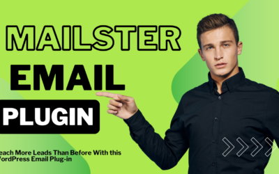 Mailster Email Newsletter Plugin for WordPress: the Perfect Tool for Your Growing Business