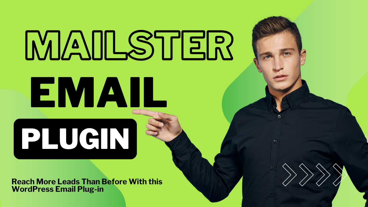 Mailster Email Newsletter Plugin